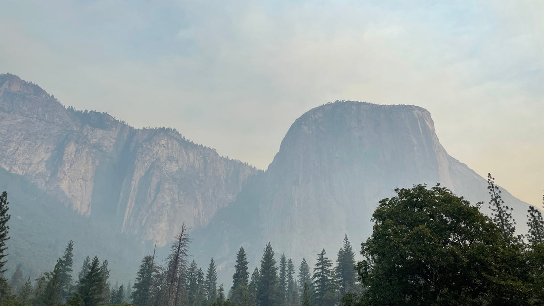 Trip Report: Los Angeles to Lake Tahoe (and everything in between)